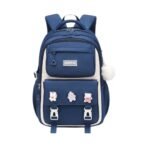 SCHOOL BAG